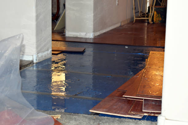 Professional Emergency Water Damage Restoration technician working in Georgetown, IN